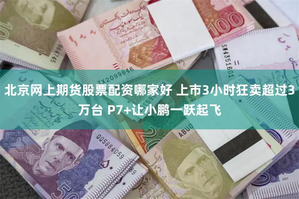 北京网上期货股票配资哪家好 上市3小时狂卖超过3万台 P7+让小鹏一跃起飞