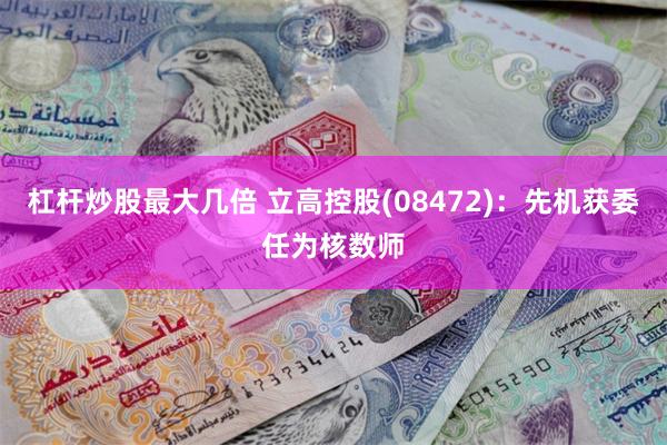 杠杆炒股最大几倍 立高控股(08472)：先机获委任为核数师