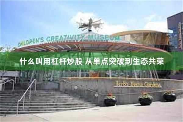什么叫用杠杆炒股 从单点突破到生态共荣
