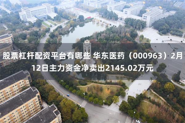 股票杠杆配资平台有哪些 华东医药（000963）2月12日主力资金净卖出2145.02万元