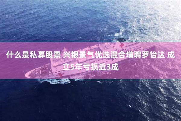 什么是私募股票 兴银景气优选混合增聘罗怡达 成立5年亏损近3成