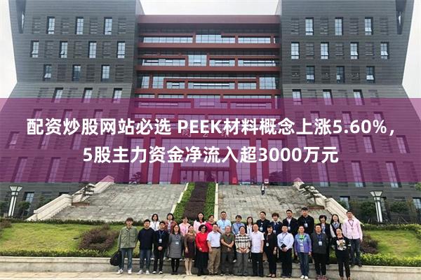 配资炒股网站必选 PEEK材料概念上涨5.60%，5股主力资金净流入超3000万元