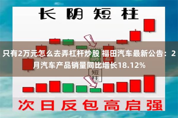 只有2万元怎么去弄杠杆炒股 福田汽车最新公告：2月汽车产品销量同比增长18.12%