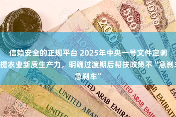 信赖安全的正规平台 2025年中央一号文件定调 首提农业新质生产力，明确过渡期后帮扶政策不“急刹车”