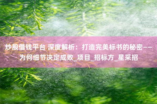 炒股借钱平台 深度解析：打造完美标书的秘密——为何细节决定成败_项目_招标方_星采招