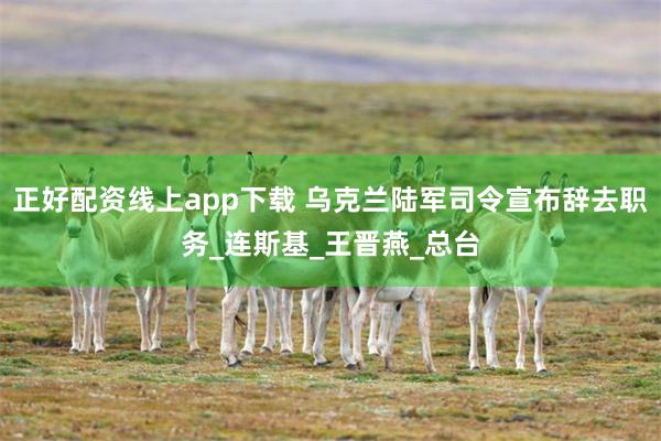 正好配资线上app下载 乌克兰陆军司令宣布辞去职务_连斯基_王晋燕_总台
