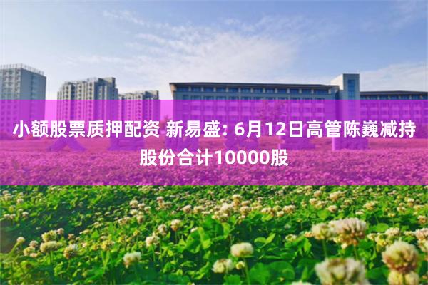 小额股票质押配资 新易盛: 6月12日高管陈巍减持股份合计10000股