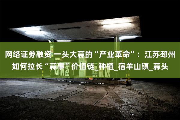 网络证劵融资 一头大蒜的“产业革命”：江苏邳州如何拉长“蒜事”价值链_种植_宿羊山镇_蒜头
