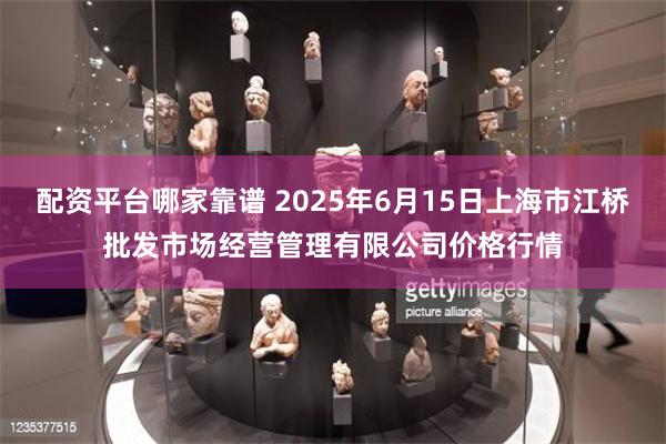 配资平台哪家靠谱 2025年6月15日上海市江桥批发市场经营管理有限公司价格行情