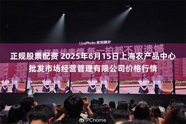 正规股票配资 2025年6月15日上海农产品中心批发市场经营管理有限公司价格行情