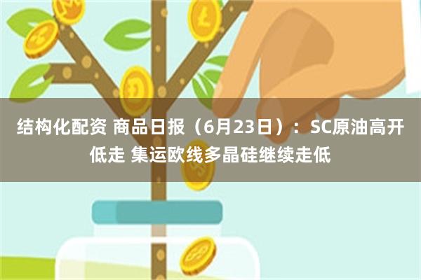 结构化配资 商品日报（6月23日）：SC原油高开低走 集运欧线多晶硅继续走低