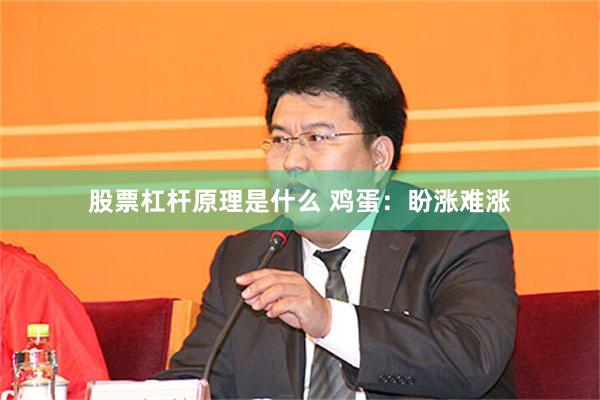 股票杠杆原理是什么 鸡蛋：盼涨难涨
