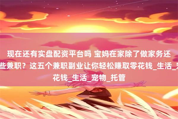 现在还有实盘配资平台吗 宝妈在家除了做家务还可以做哪些兼职？这五个兼职副业让你轻松赚取零花钱_生活_宠物_托管